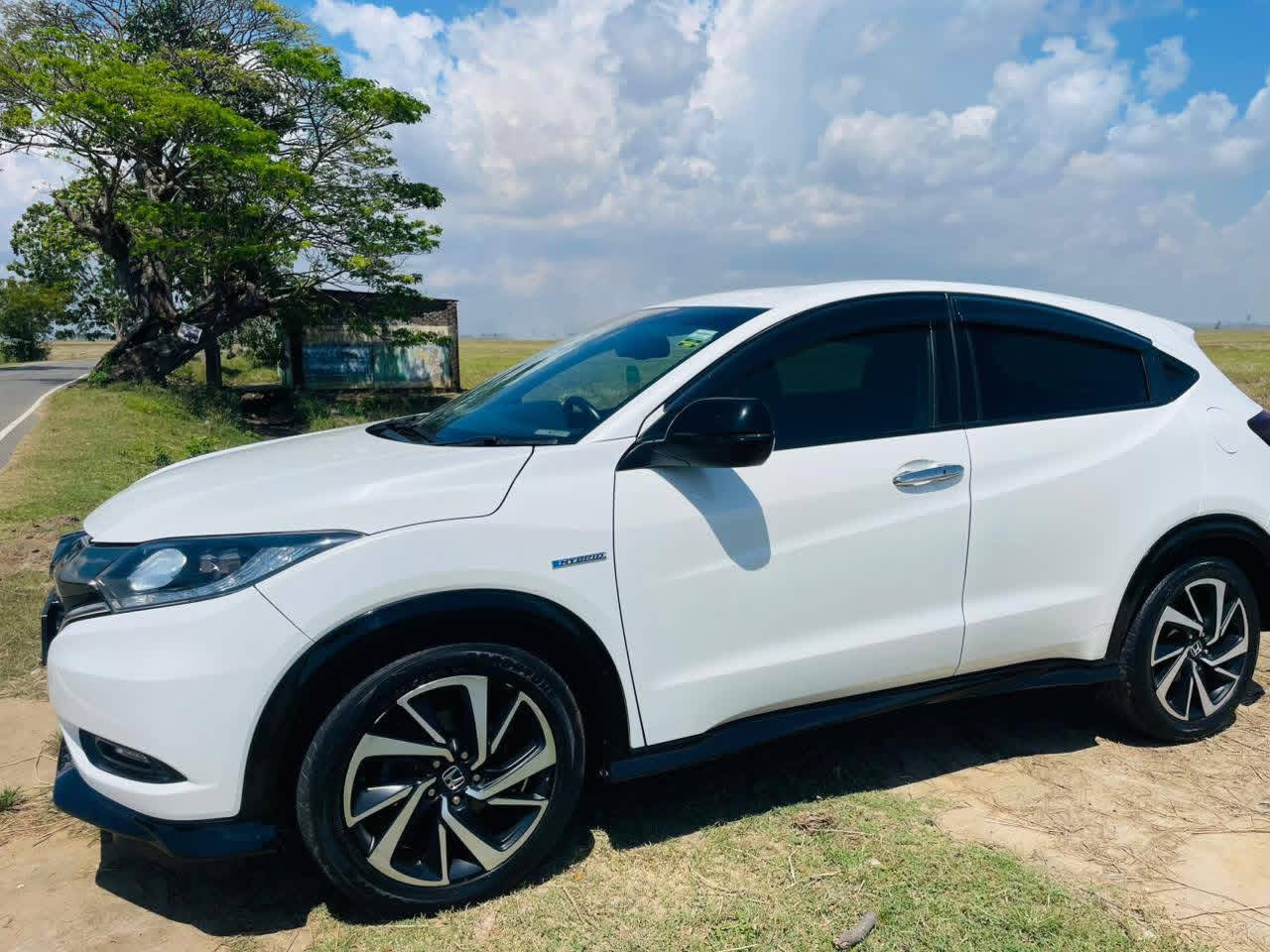 Advertisement image 3