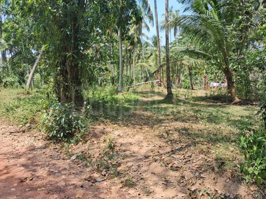Agricultural Land for Sale in Maho ads-image-1