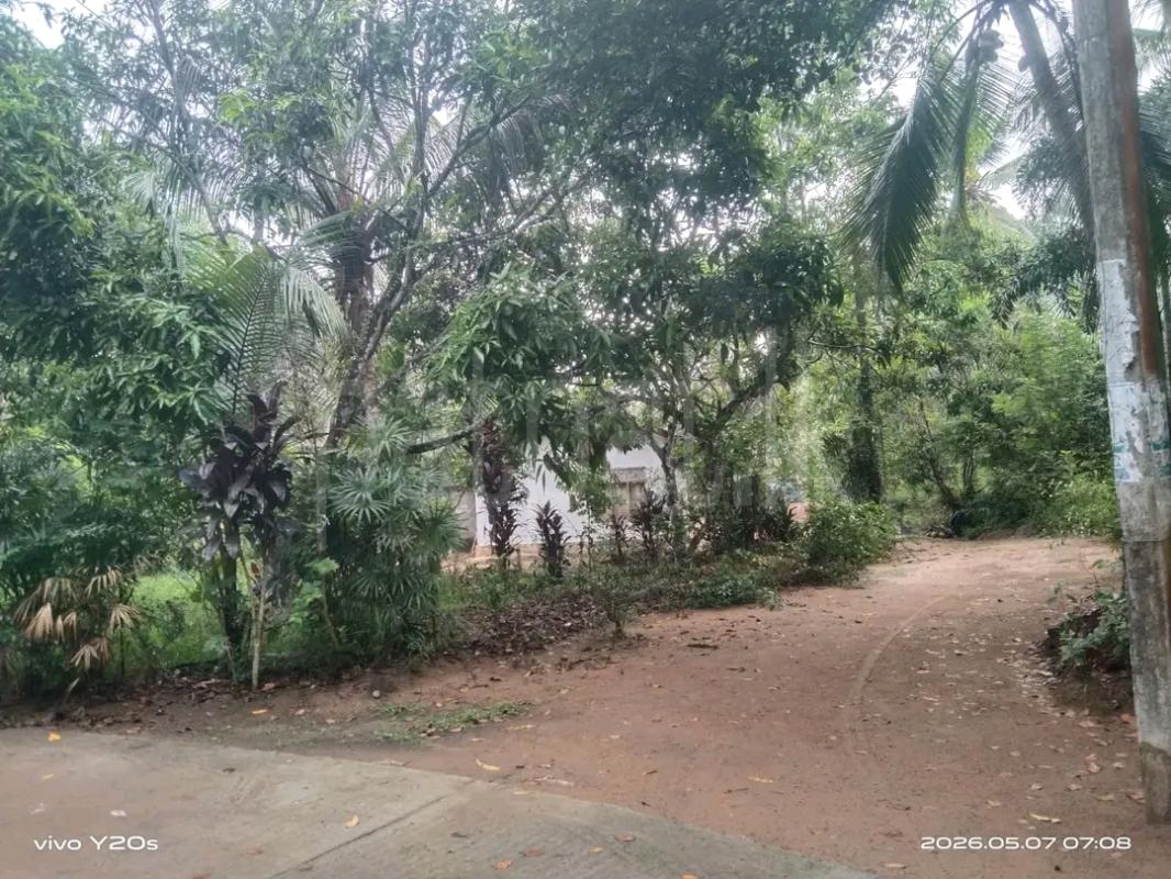 Residential Land for Sale in Minuwangoda