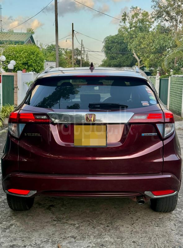 Advertisement image 1