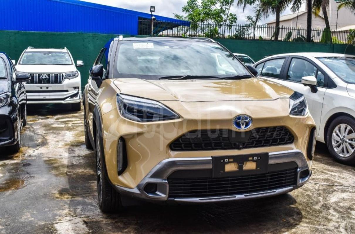 Advertisement image 2