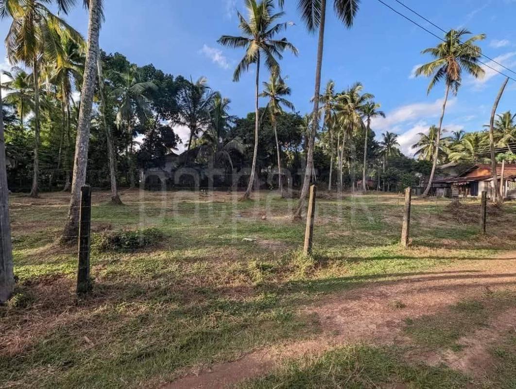 Agricultural Land for Sale in Kalagedihena ads-image-1