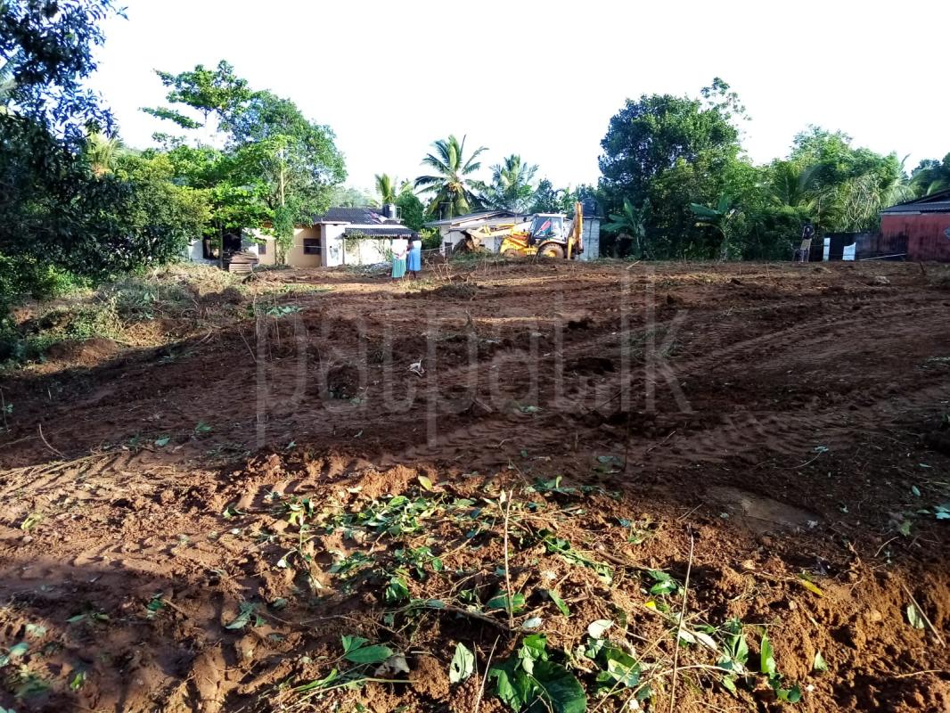 Residential Land for Sale in Moragahahena