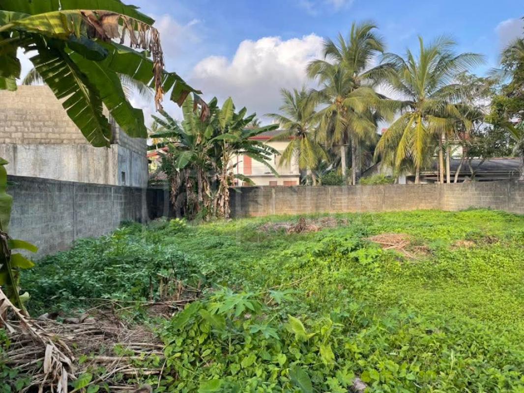 Commercial Land for Sale in Panadura ads-image-1