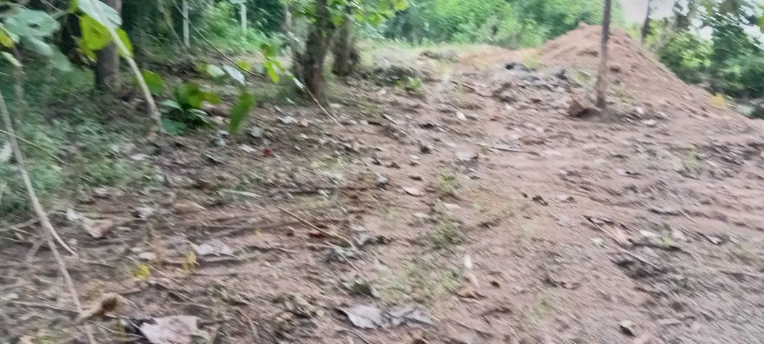 Agricultural Land for Sale in Horana