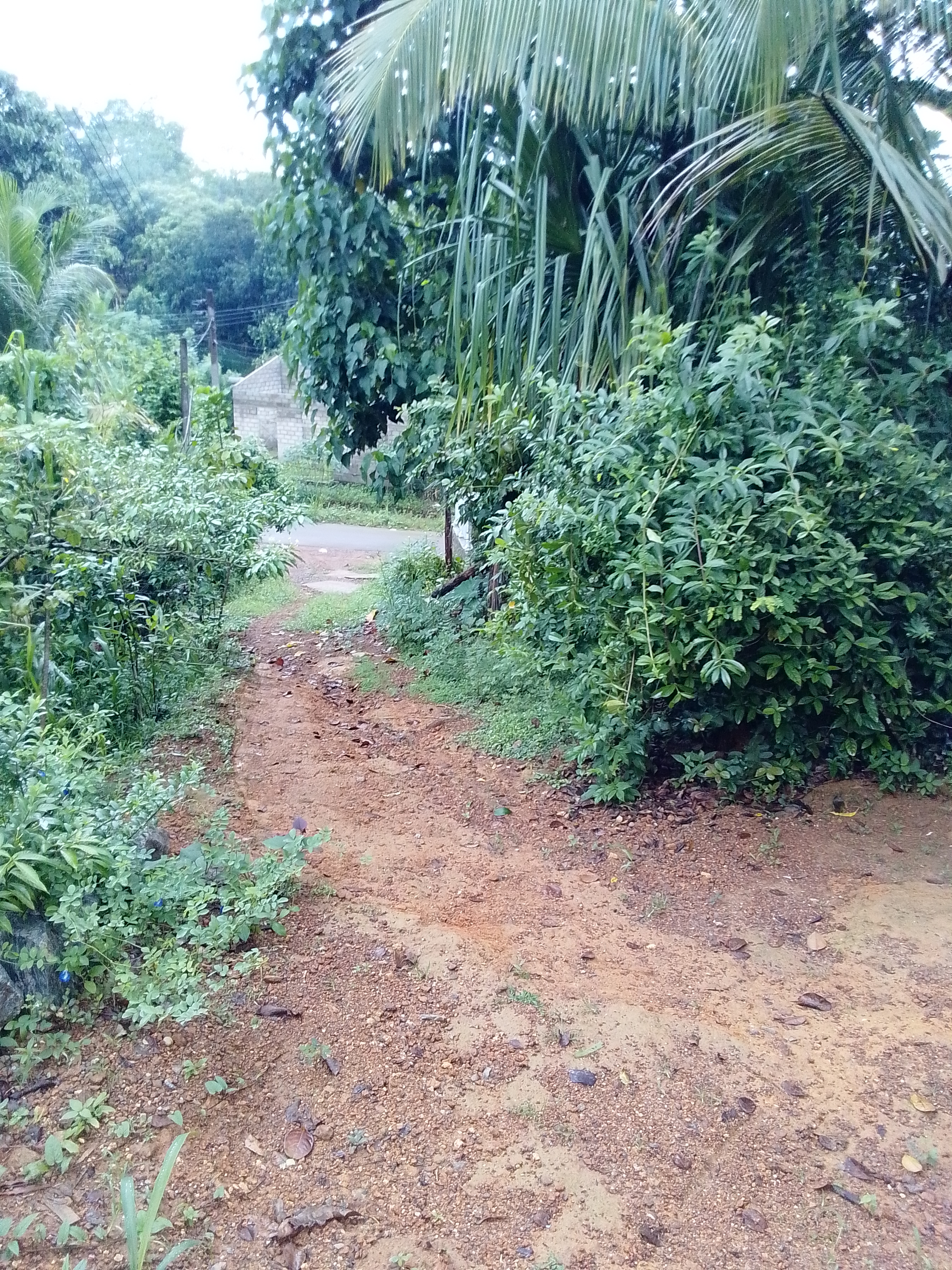 House for Sale in Eheliyagoda