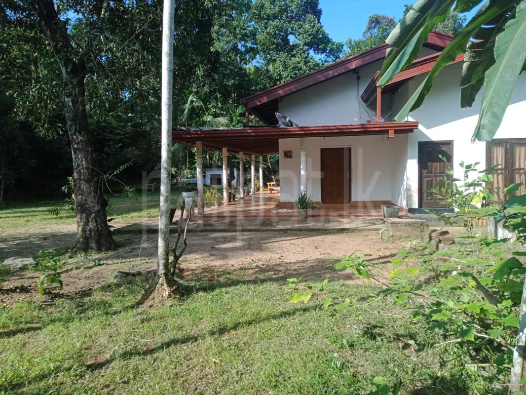 Residential Land for Sale in Gampaha