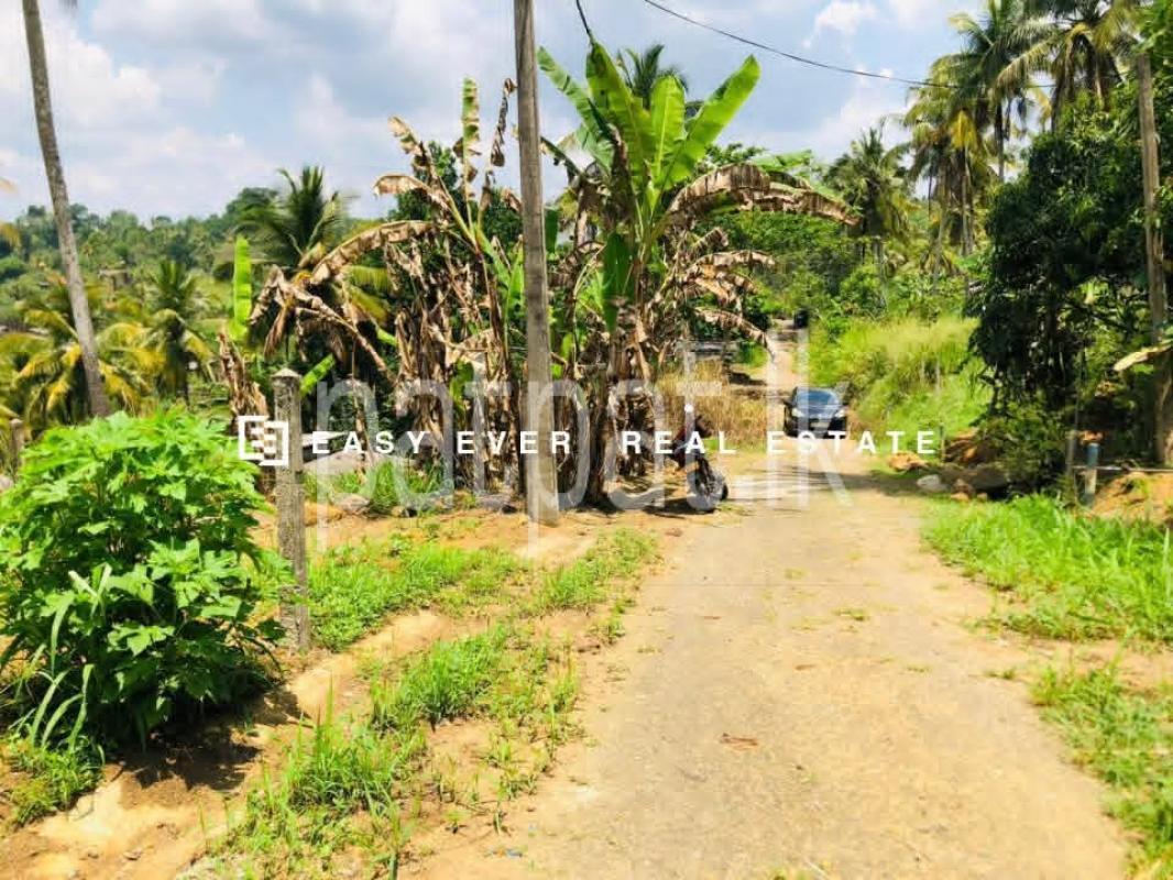 Residential Land for Sale in Warakapola