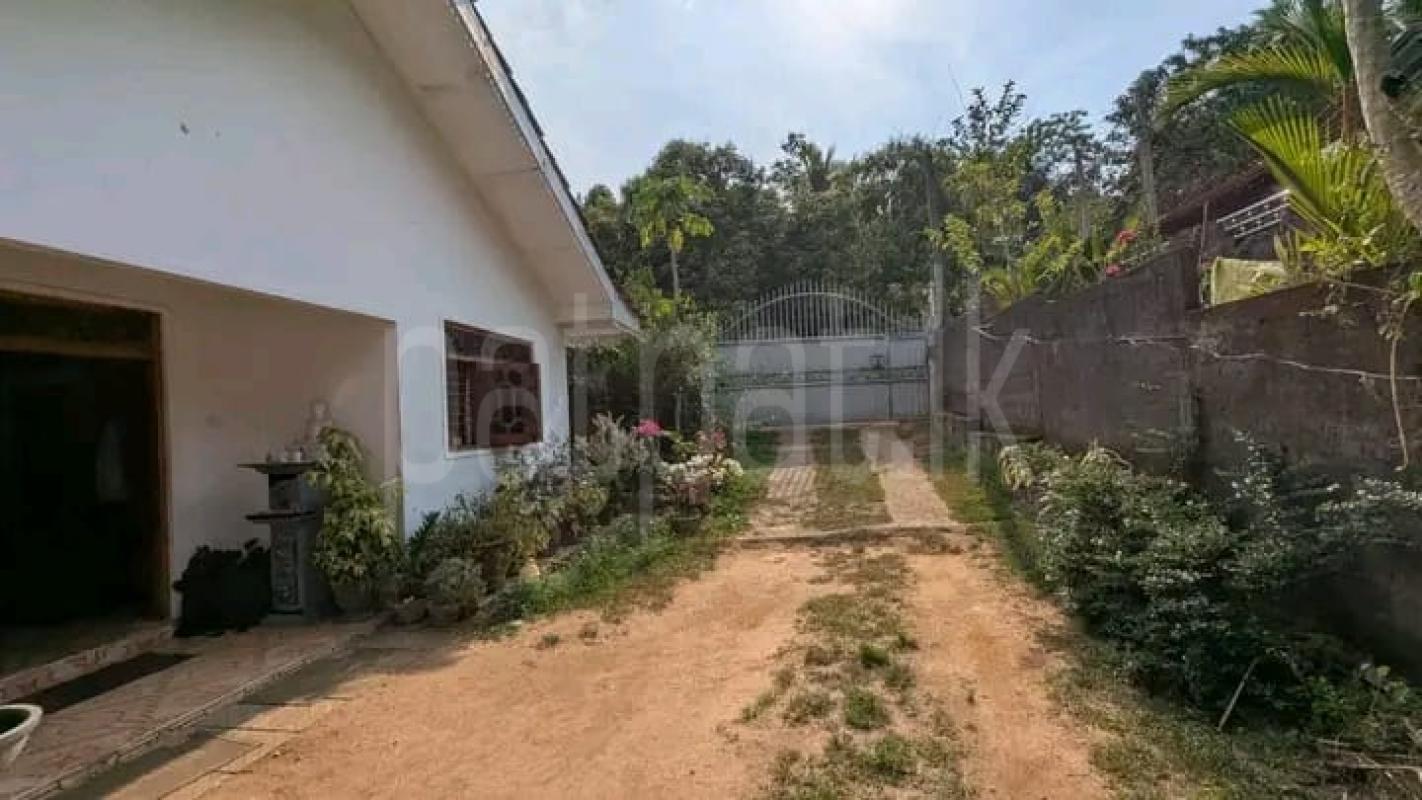 Residential Land for Sale in Nittambuwa ads-image-1