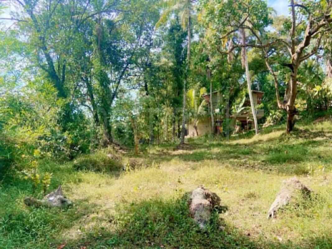 Residential Land for Sale in Weliveriya ads-image-1