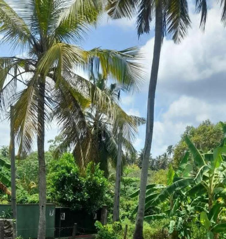 Commercial Land for Sale in Panadura ads-image-1