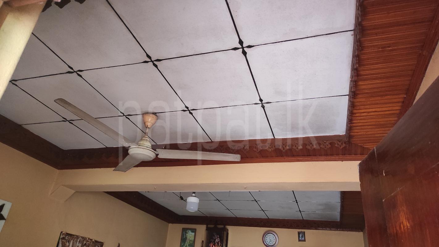 House for Sale in Kochchikade