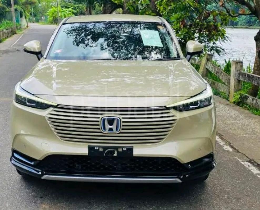 Advertisement image 1