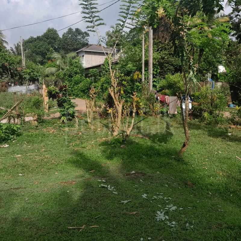 Residential Land for Sale in Kaduwela ads-image-1