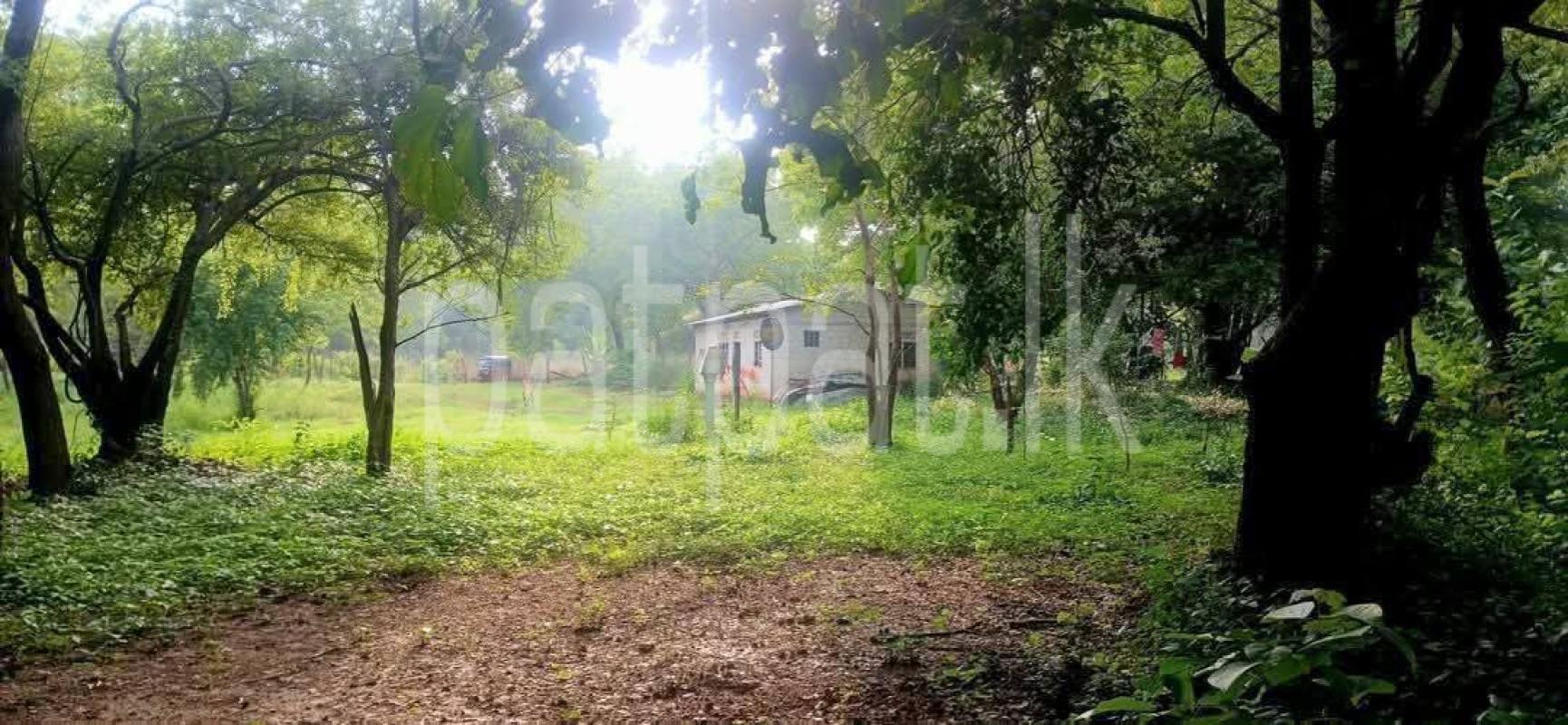 Residential Land for Sale in Kataragama