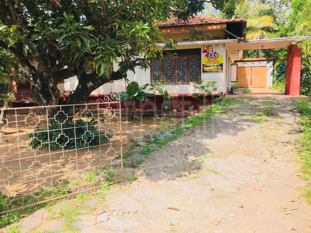 Residential Land for Sale in Kurunegala ads-image-1