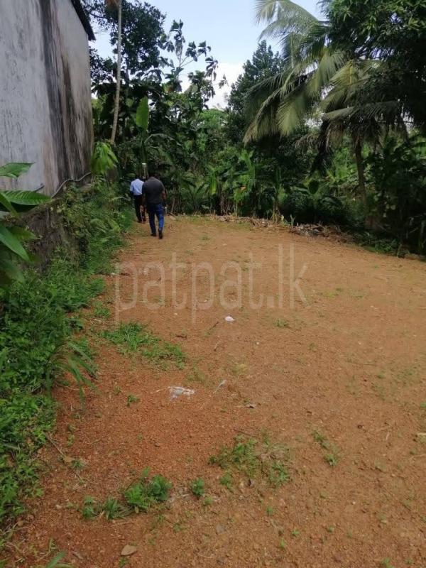  Land for Sale in Kadawatha