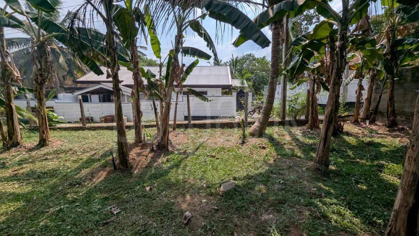 Residential Land for Sale in Weliveriya