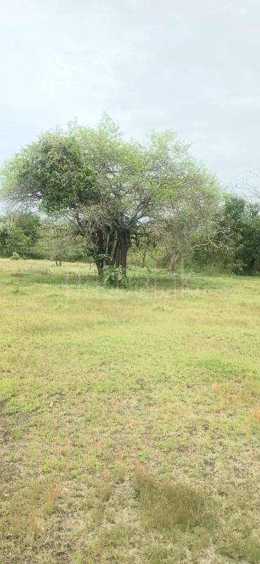 Residential Land for Sale in Kataragama ads-image-1