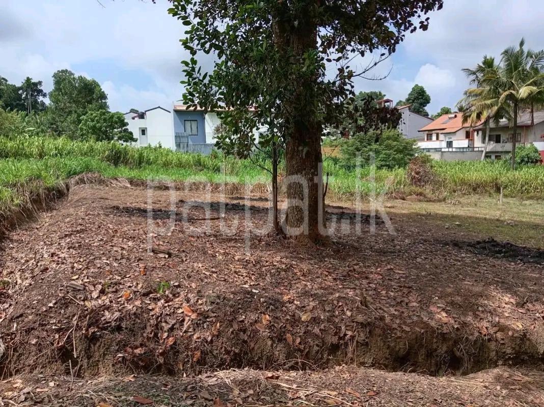 Agricultural Land for Sale in Biyagama
