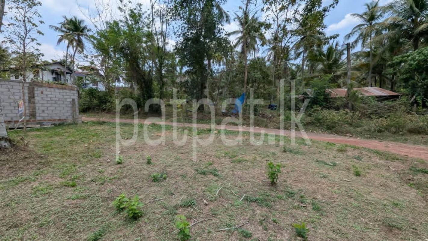 Residential Land for Sale in Dunagaha