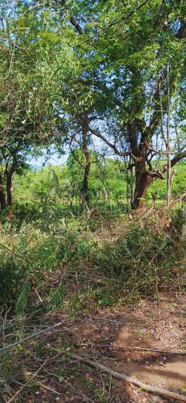 Residential Land for Sale in Kataragama