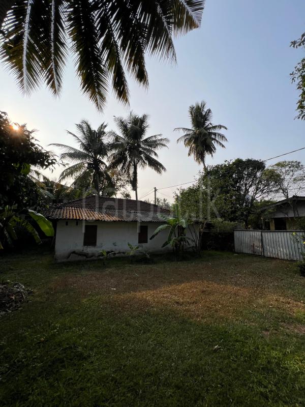 Residential Land for Sale in Kiribathgoda ads-image-1