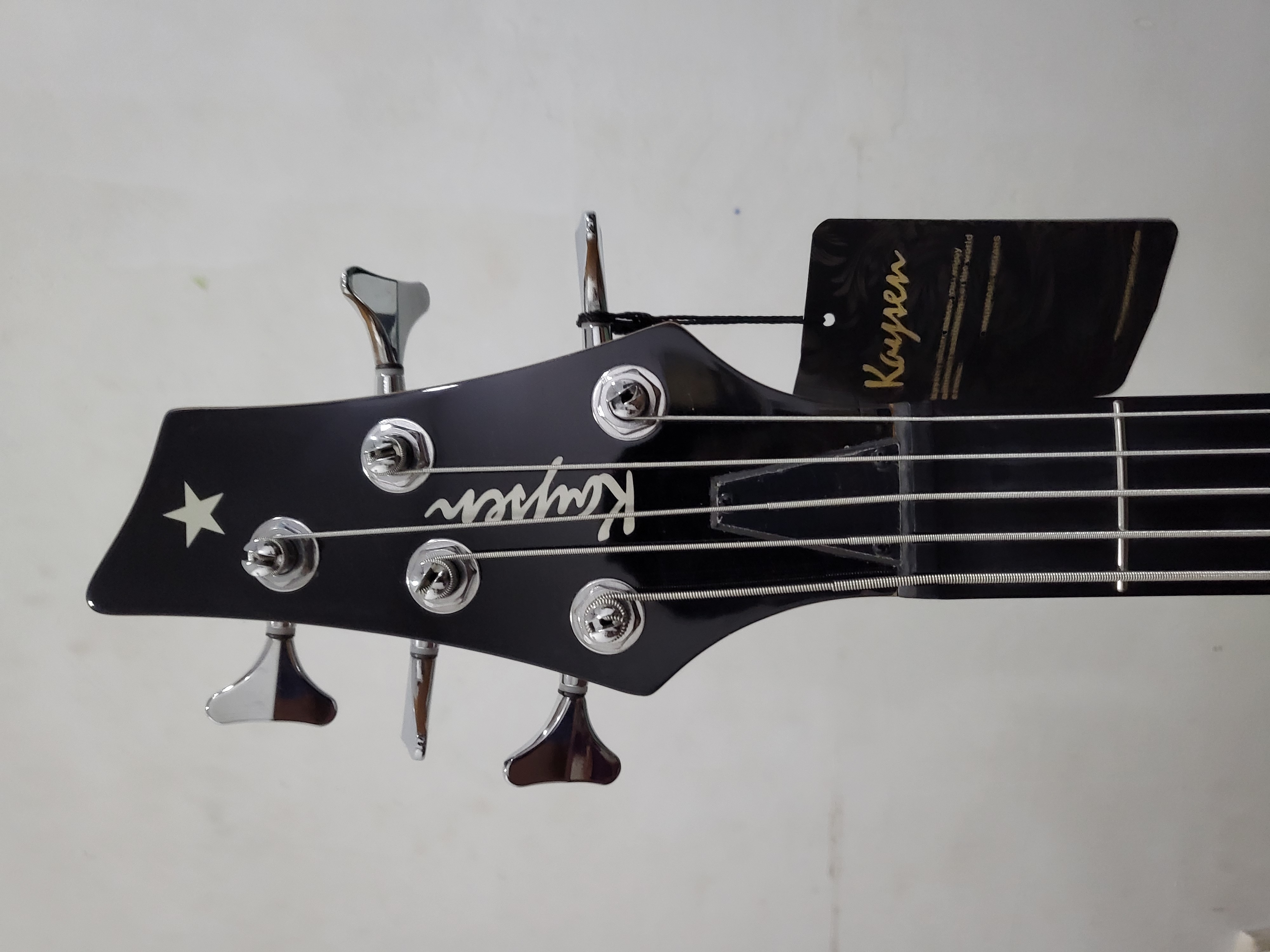 5 String Bass Guitar (Kaysen KIB-205 electric guitar,)