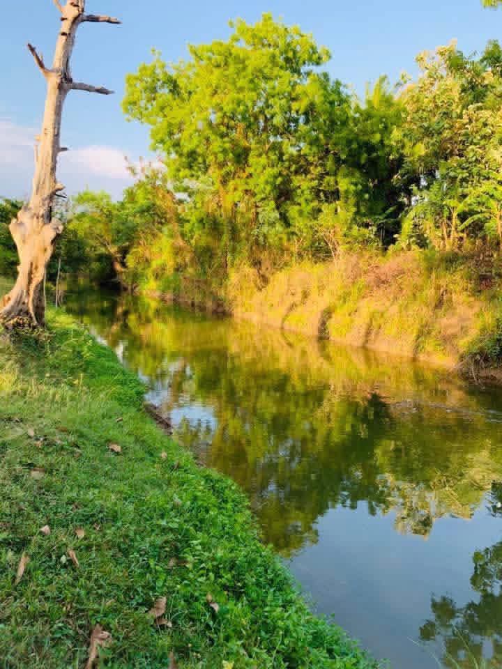 Agricultural Land for Sale in Sewanagala