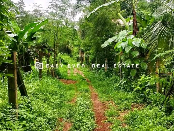 Commercial Land for Sale in Divulapitiya