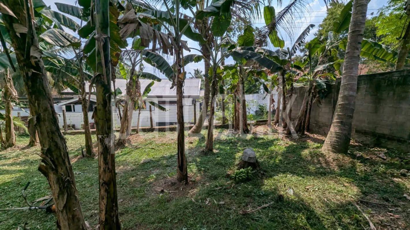 Residential Land for Sale in Weliveriya