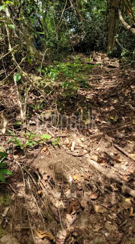 Residential Land for Sale in Gampaha ads-image-1