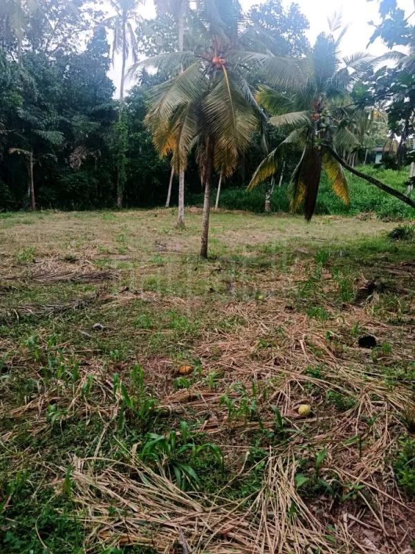 Agricultural Land for Sale in Gampola
