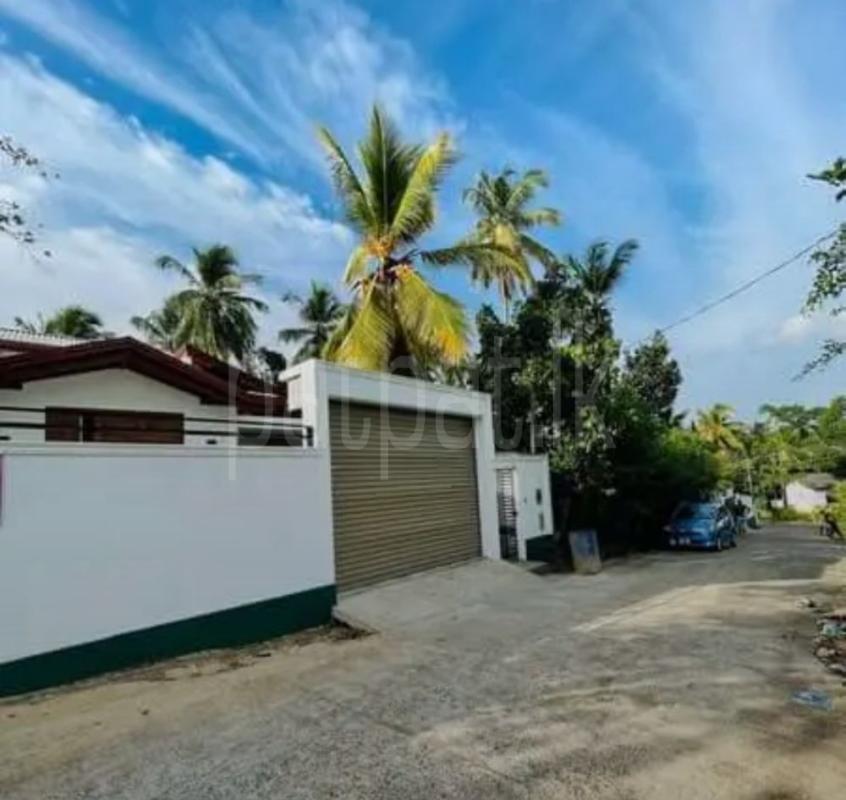 premium-listing-image