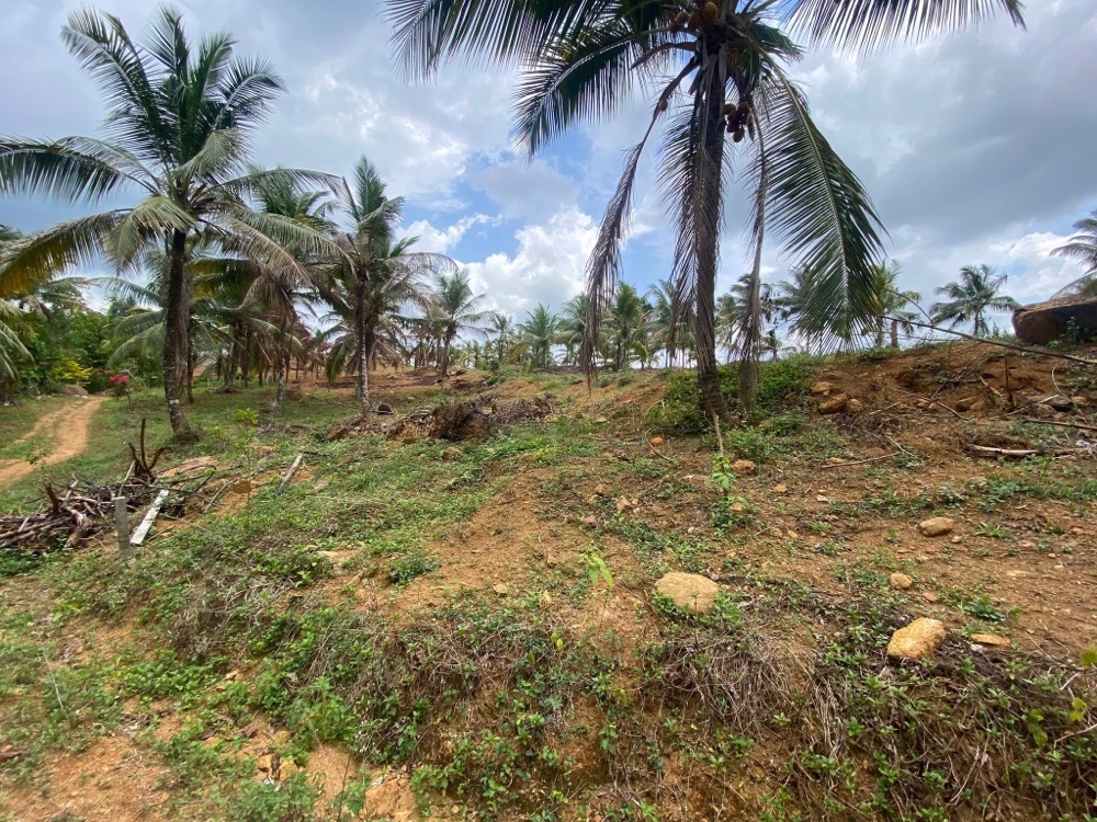 Commercial Land for Sale in Padukka