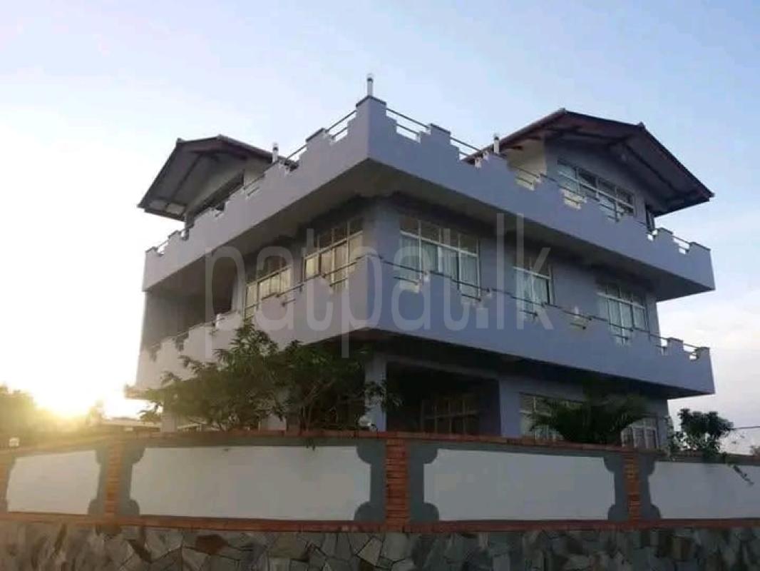 Advertisement image 3