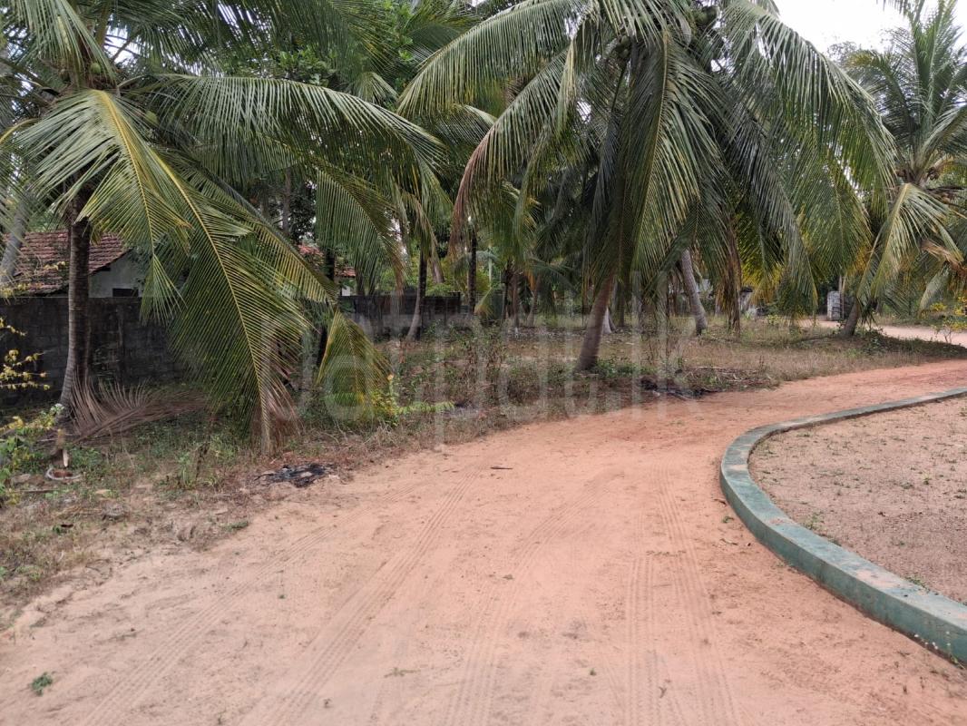 House for Sale in Nattandiya