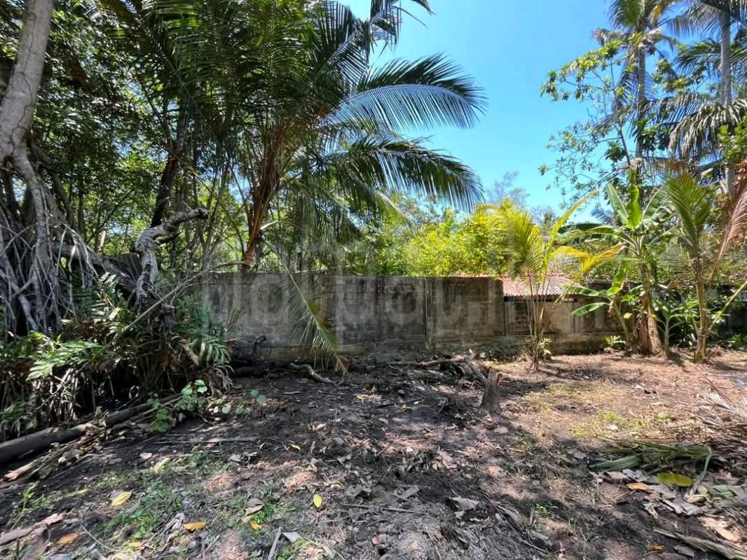 Residential Land for Sale in Maggona ads-image-1