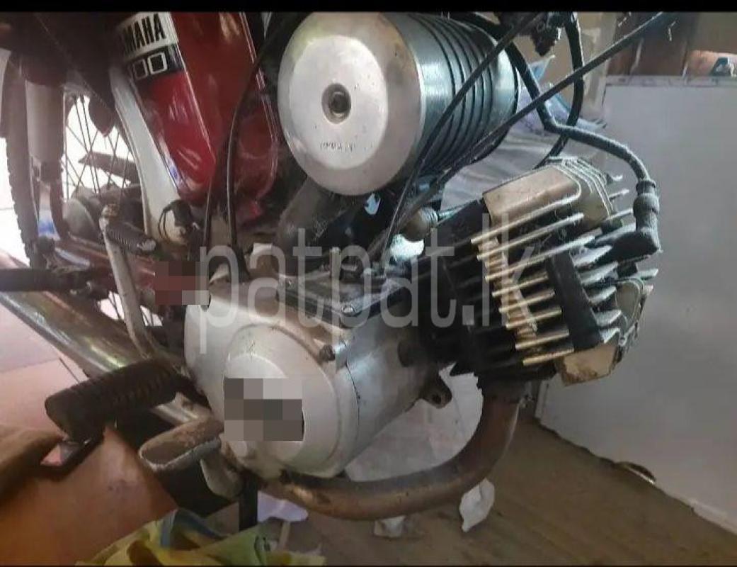 Advertisement image 3