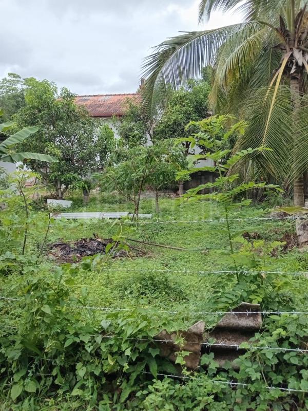 Land for Sale in Kotte ads-image-1