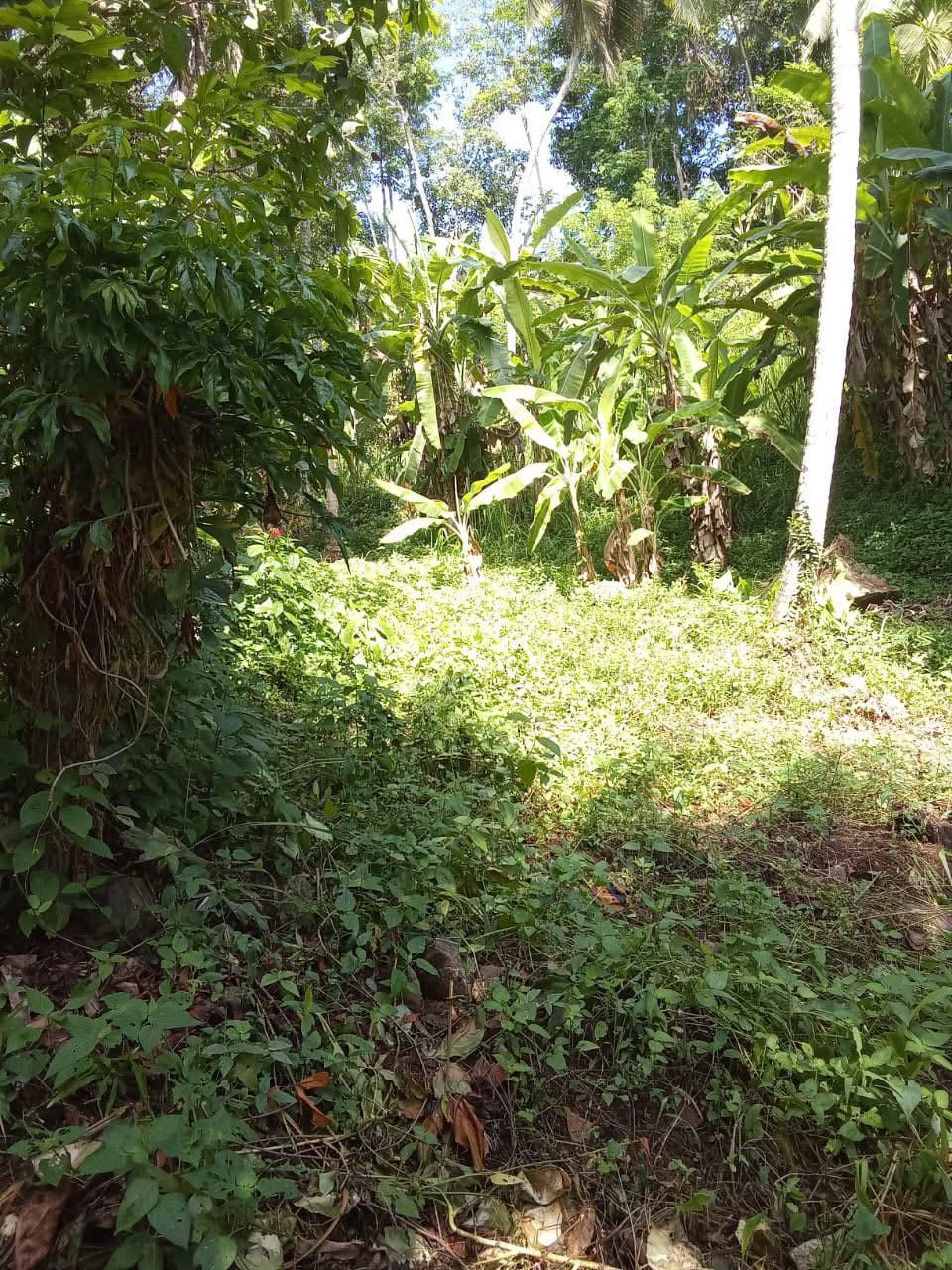 Commercial Land for Sale in Aranayaka