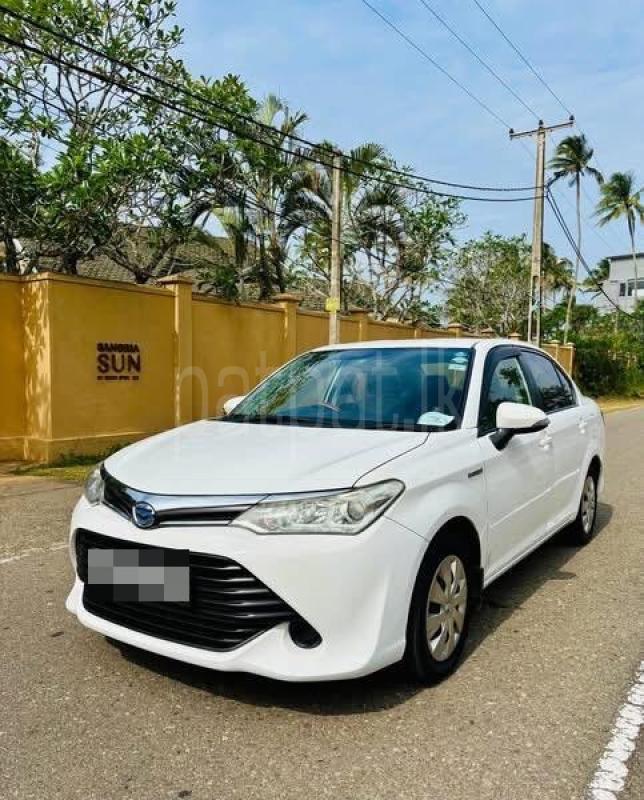 Advertisement image 3