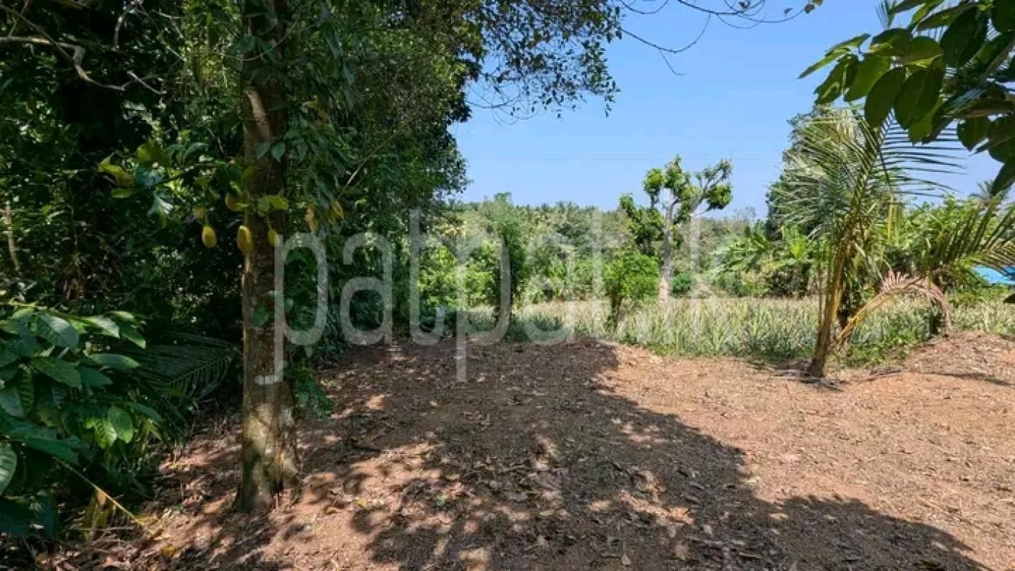 Commercial Land for Sale in Kirindiwela