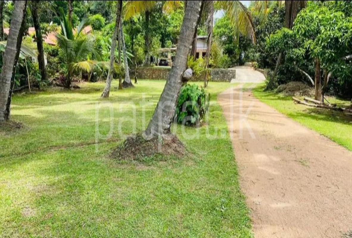 Advertisement image 6