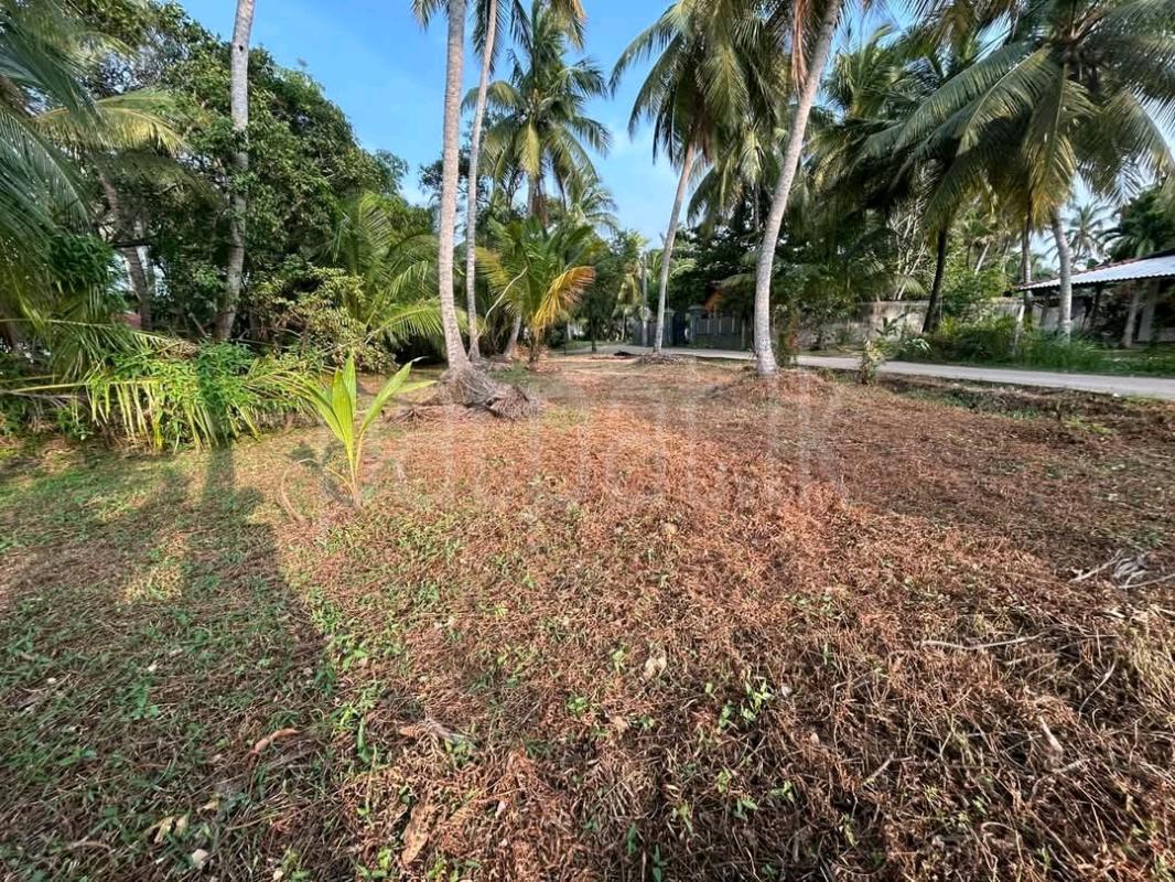 Residential Land for Sale in Pamunugama ads-image-1