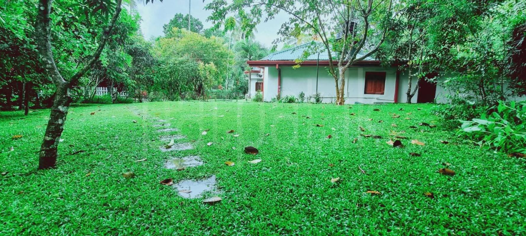 House for Sale in Kandy