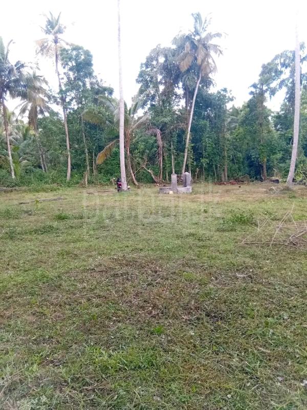 Agricultural Land for Sale in Maho