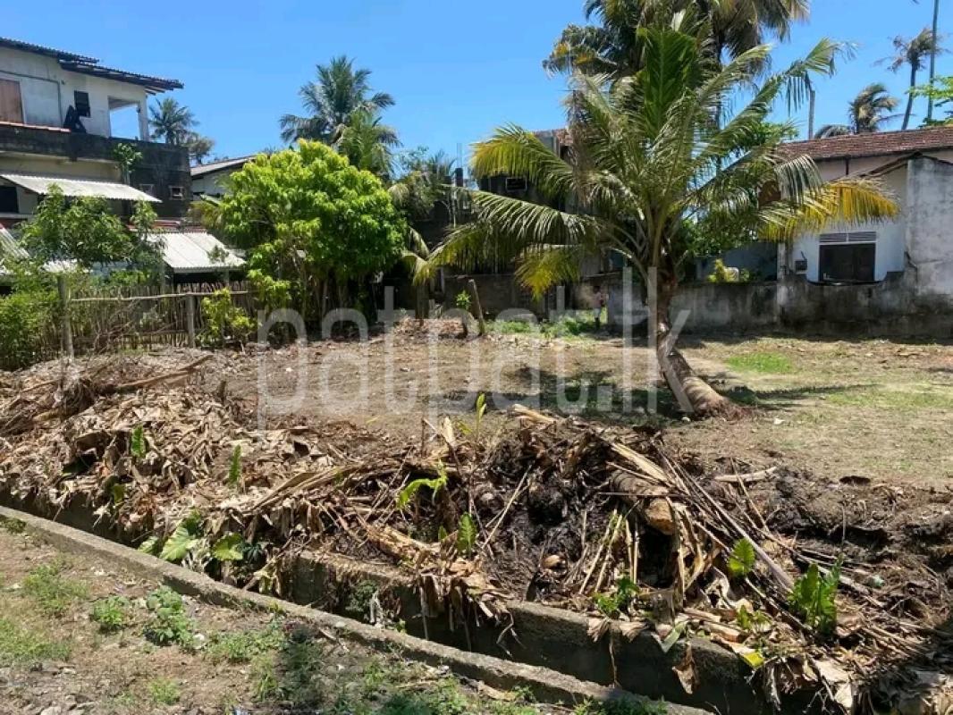 Residential Land for Sale in Ahangama ads-image-1