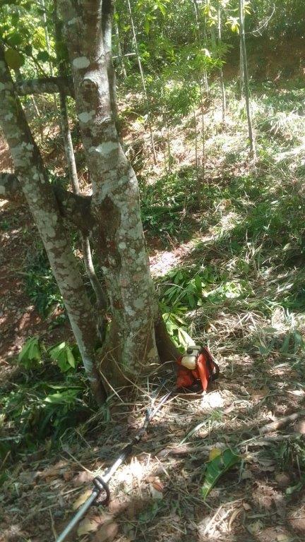 Agricultural Land for Sale in Peradeniya