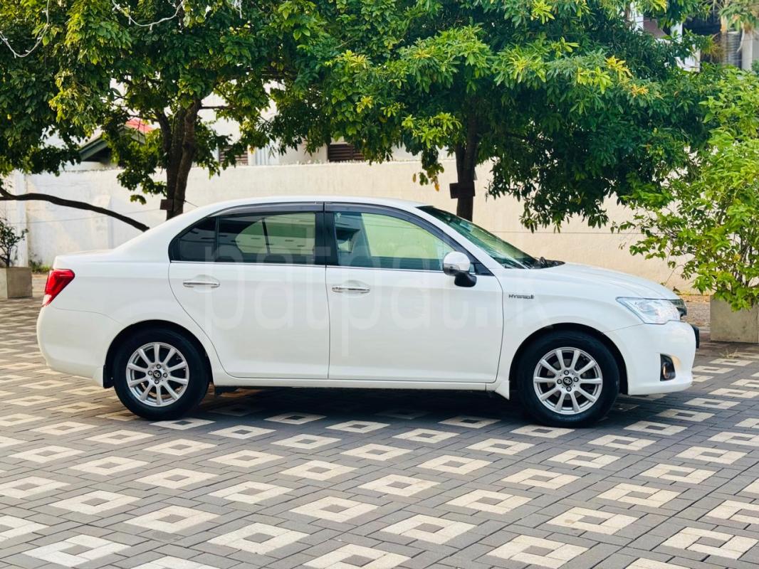 Advertisement image 2